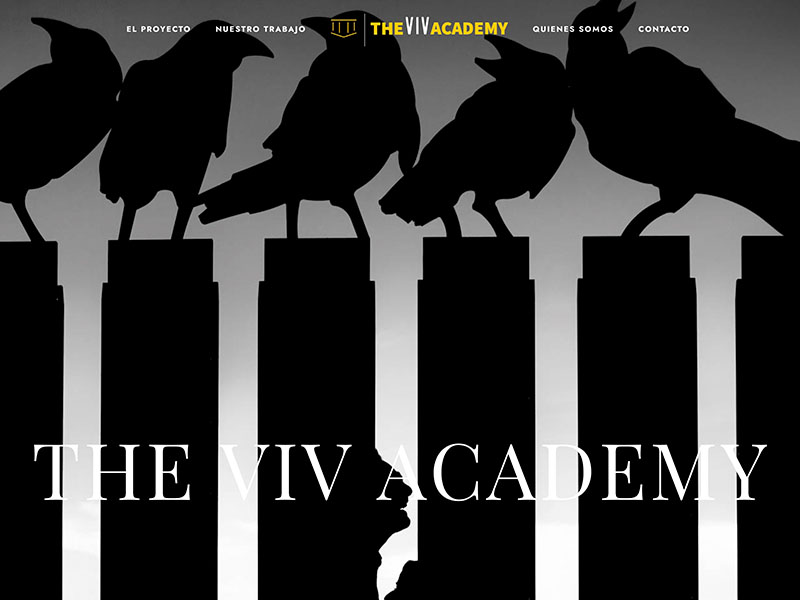 The Viv Academy